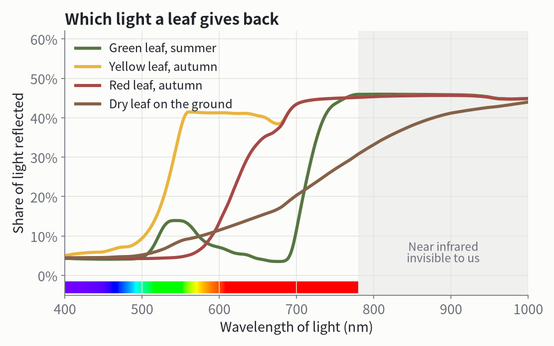 The light four kinds of leaves reflect. Each line is drawn in the color a person would see from that curve.