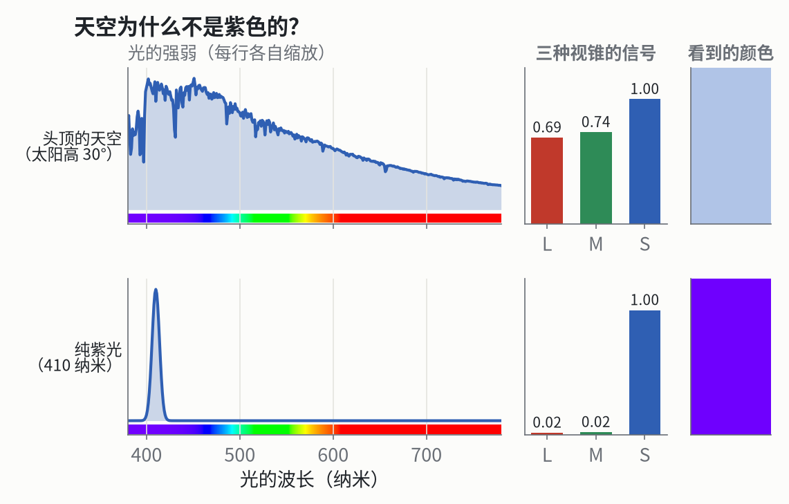 上：太阳高 30 度时，头顶天空散射下来的光。下：一束纯紫光。右边是三种视锥的信号，以及看到的颜色（色块只表示色调；屏幕也显示不出真正的单色紫光，下面的紫色只是近似）。