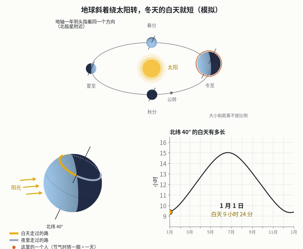 地球斜着绕太阳转，冬天的白天就短（模拟）。上：地球绕太阳转一年，地轴一直指着同一个方向，大小和距离不按比例。左下：放大看地球，视角不变；圈是北纬 40 度，虚线是转到背面的部分，红点是那里的一个人，在四个节气各自转一圈（一天）。右下：北纬 40 度一年里白天的长度。