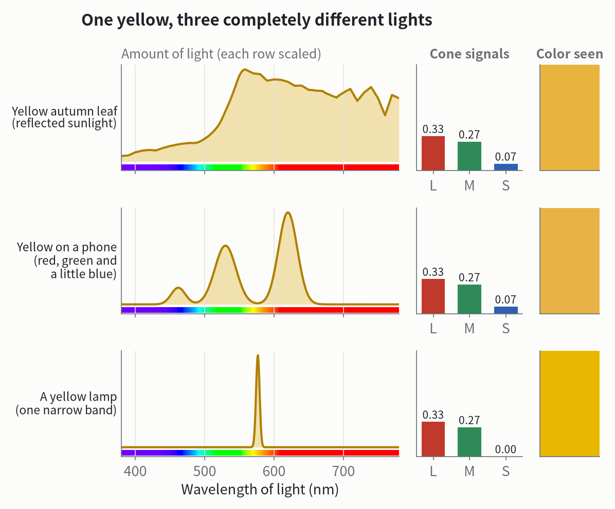 Three lights with completely different spectra: sunlight reflected by a yellow autumn leaf, yellow on a phone screen, and a narrow-band yellow lamp. They excite the three kinds of cones almost equally, so they look almost exactly the same yellow.