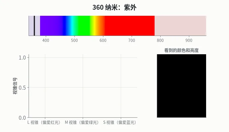 一束同样强的单色光，从紫外扫到红外：三种视锥的信号，以及看到的颜色和亮度（模拟）。