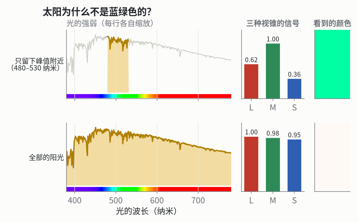 大气层外的阳光（和图一的橙色曲线是同一份数据，只把可见光这一段放大了）。上：只留下峰值附近的一段光（480–530 纳米）。下：全部的可见光。右边是三种视锥的信号，以及看到的颜色。