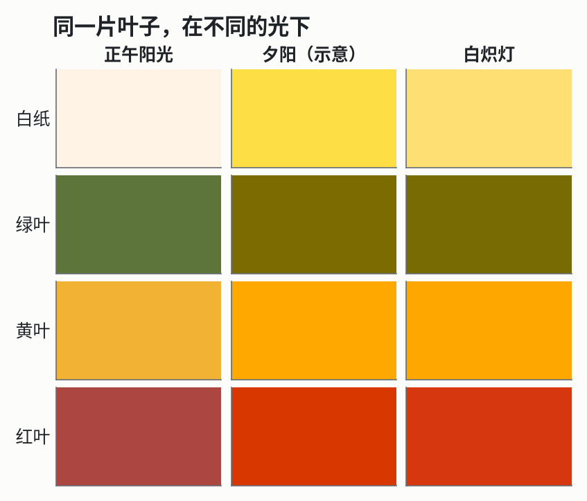 同一张白纸、同样的叶子，在正午阳光、夕阳（示意）和白炽灯下的颜色，按「同一台相机、白平衡固定在日光」来算。